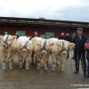 EA71 / 1er prix d'ensemble veaux mâles (élev moins de 100 vaches) DUFRAIGNE Daniel - La Tagnière