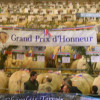 les grands prix d'honneur parmi tous les beaux specimens